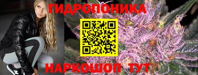 амф Заволжье