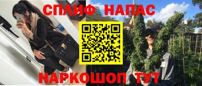 амф Заволжье