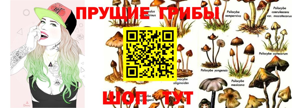 Галлюциногенные грибы Magic Shrooms Грозный