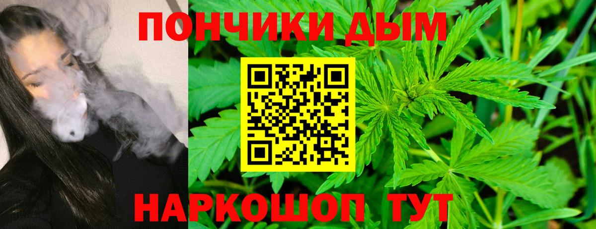 Бошки Шишки индика Грозный